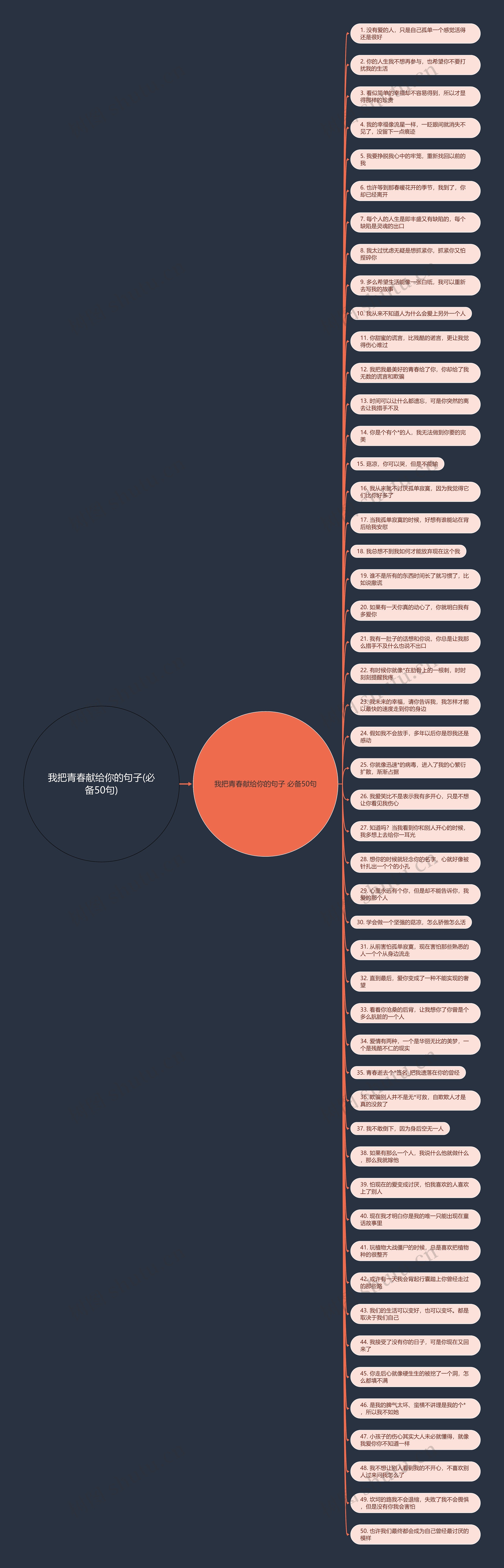 我把青春献给你的句子(必备50句)思维导图