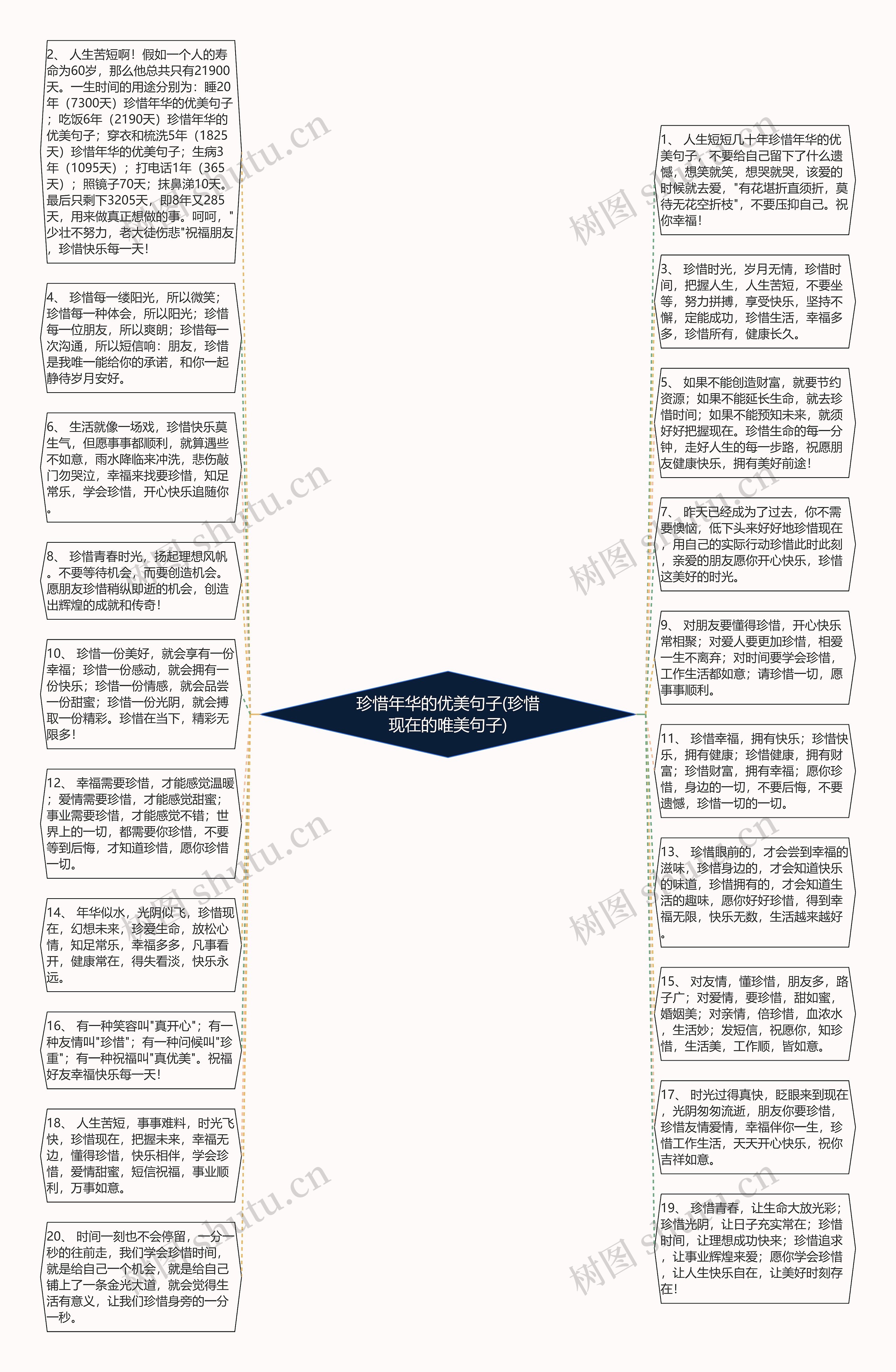 珍惜年华的优美句子(珍惜现在的唯美句子)思维导图