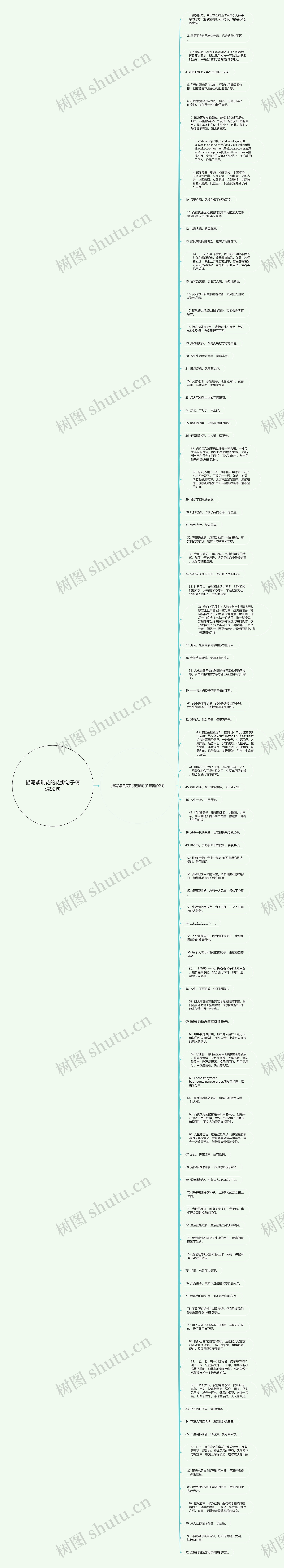 描写紫荆花的花瓣句子精选92句思维导图