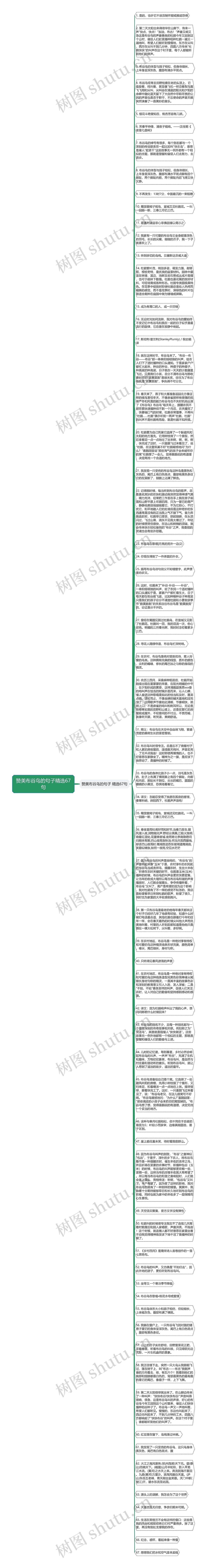 赞美布谷鸟的句子精选67句思维导图