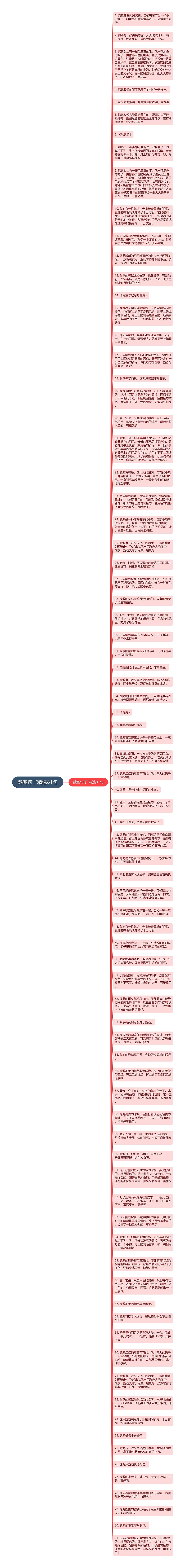 鹦鹉句子精选81句思维导图