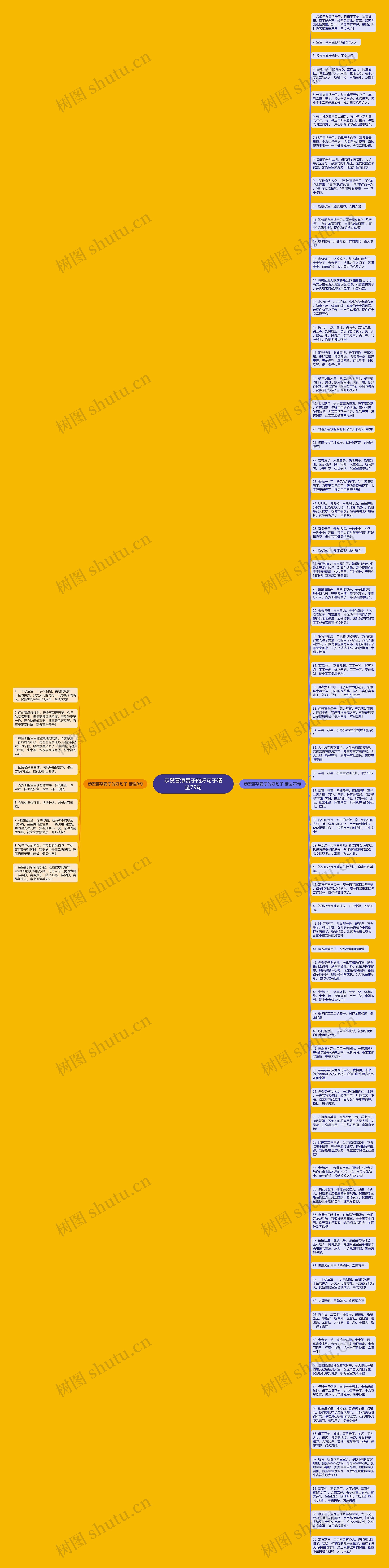 恭贺喜添贵子的好句子精选79句思维导图
