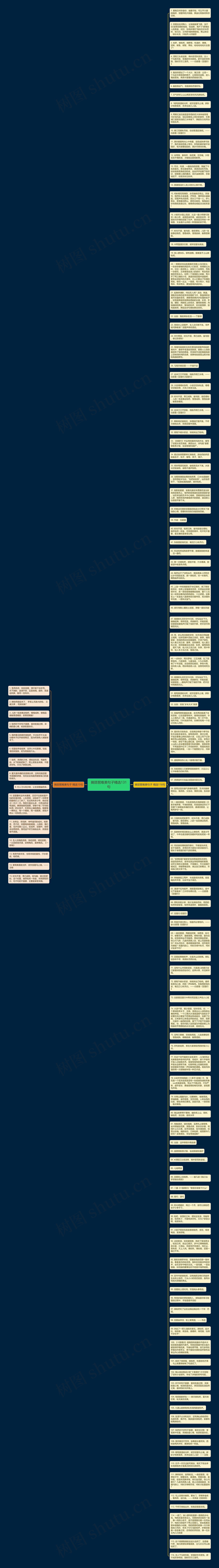 摘琵琶唯美句子精选131句思维导图