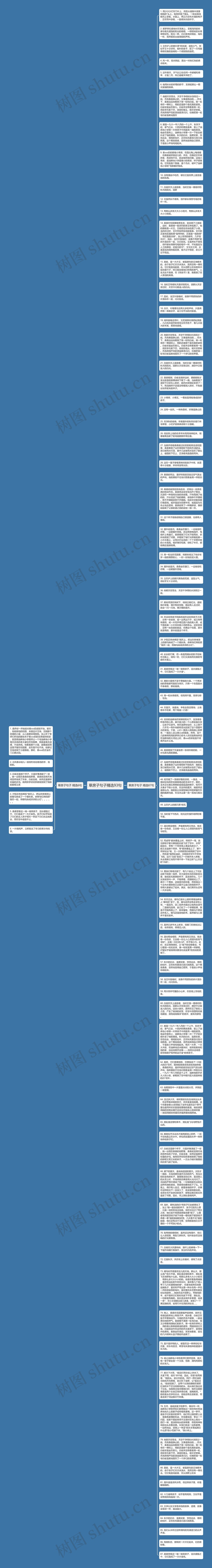 草房子句子精选93句思维导图