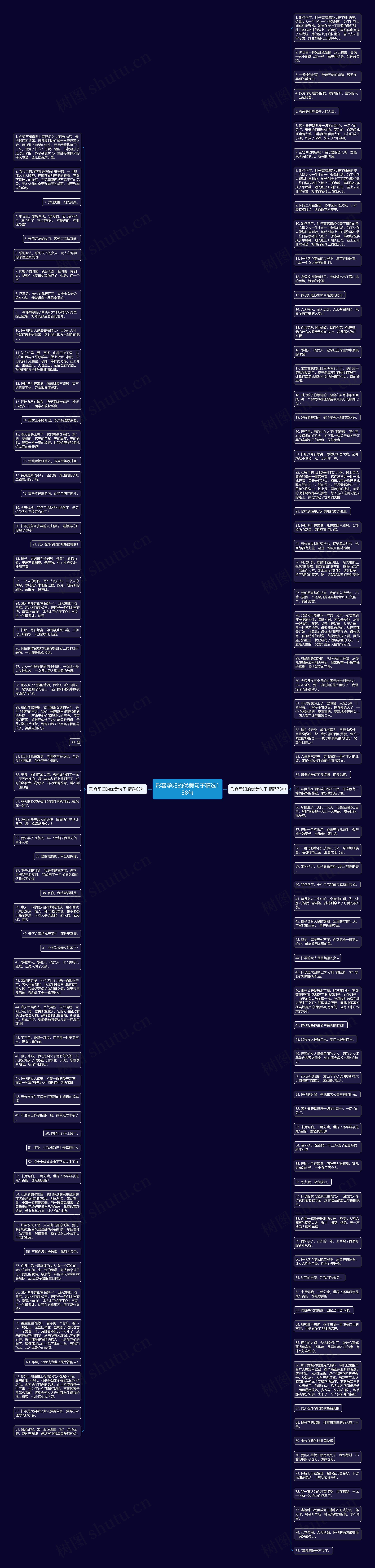 形容孕妇的优美句子精选138句思维导图