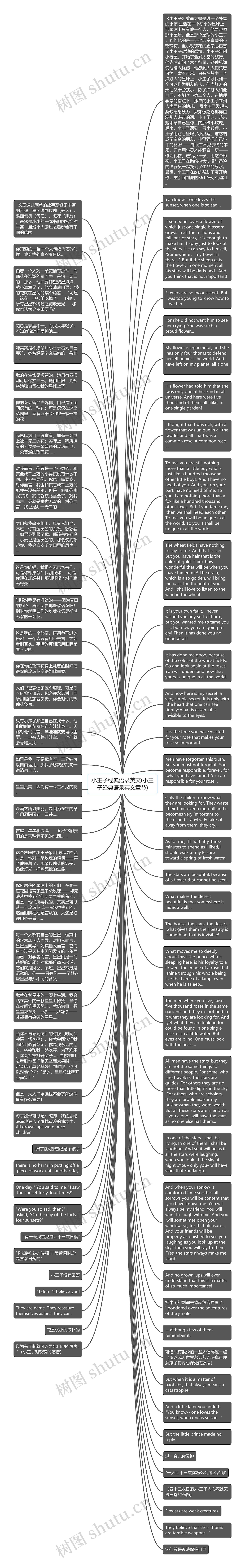 小王子经典语录英文(小王子经典语录英文章节)思维导图