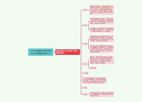 什么样的翡翠才是好的品种?如何看翡翠的种水?