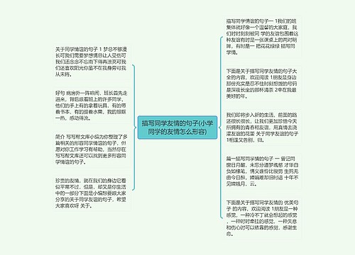 描写同学友情的句子(小学同学的友情怎么形容)
