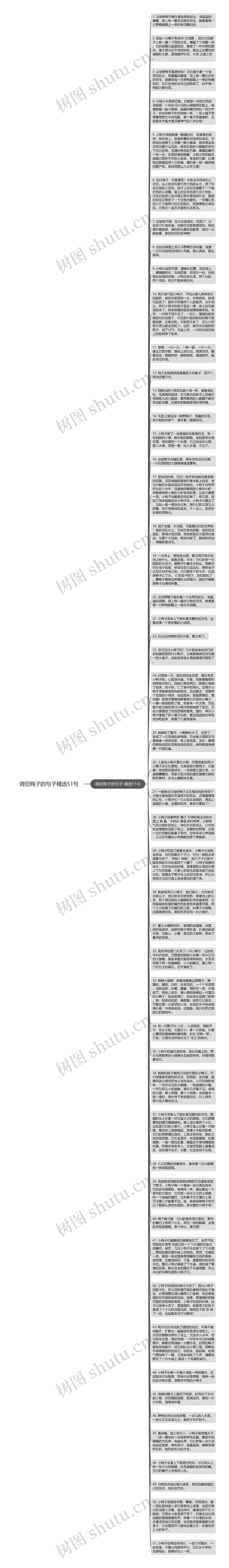 调侃鸭子的句子精选51句思维导图