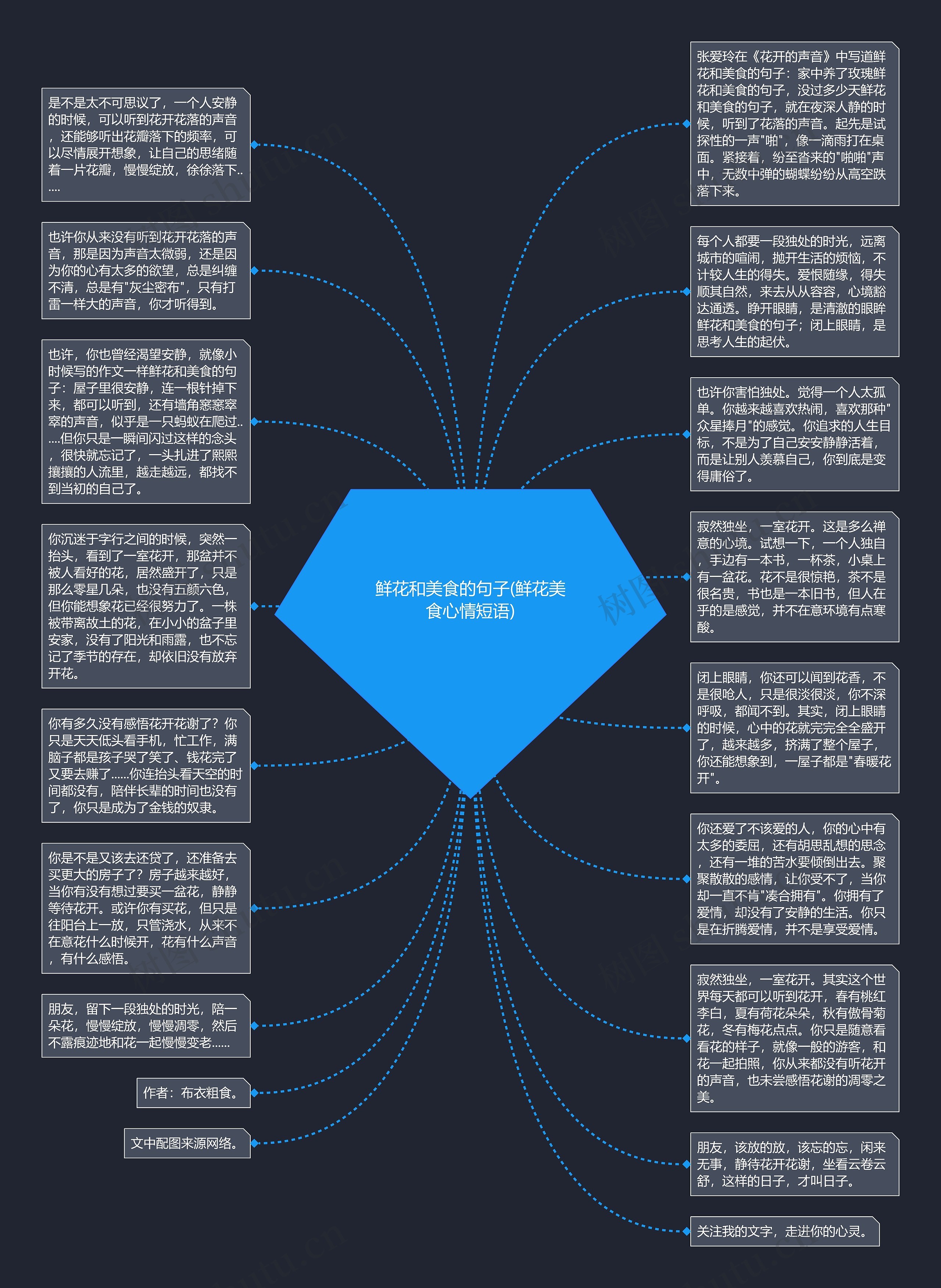 鲜花和美食的句子(鲜花美食心情短语)思维导图
