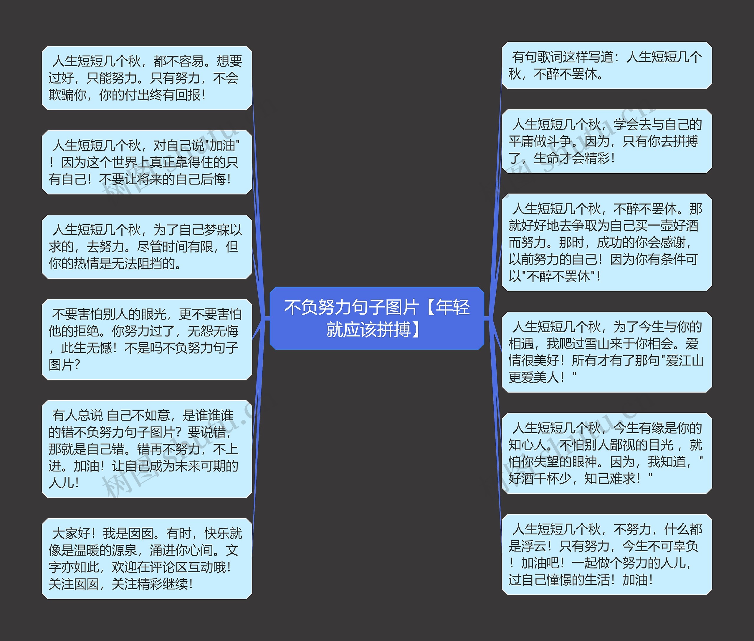 不负努力句子图片【年轻就应该拼搏】思维导图