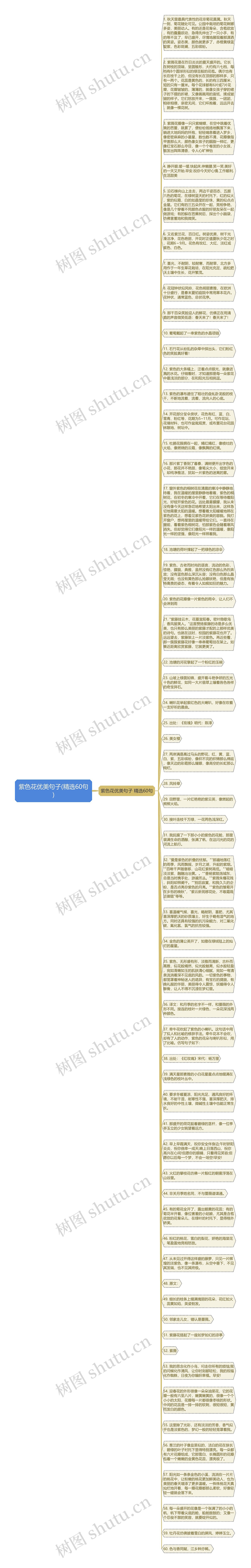 紫色花优美句子(精选60句)思维导图