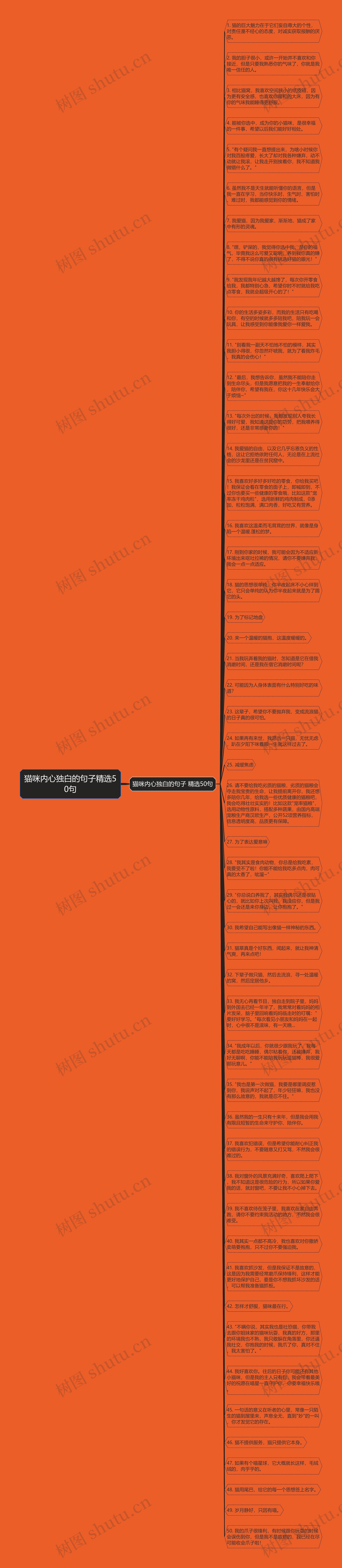 猫咪内心独白的句子精选50句思维导图