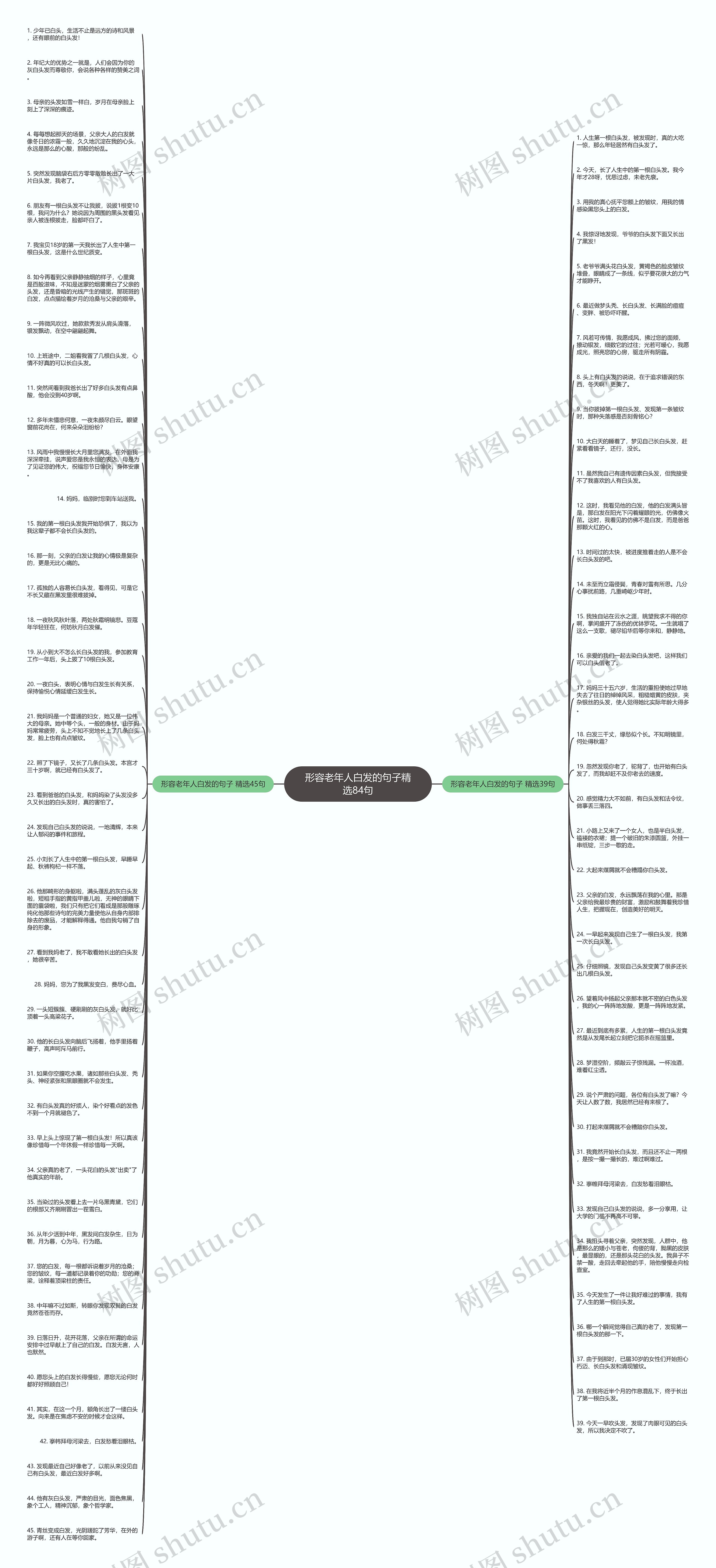 形容老年人白发的句子精选84句思维导图