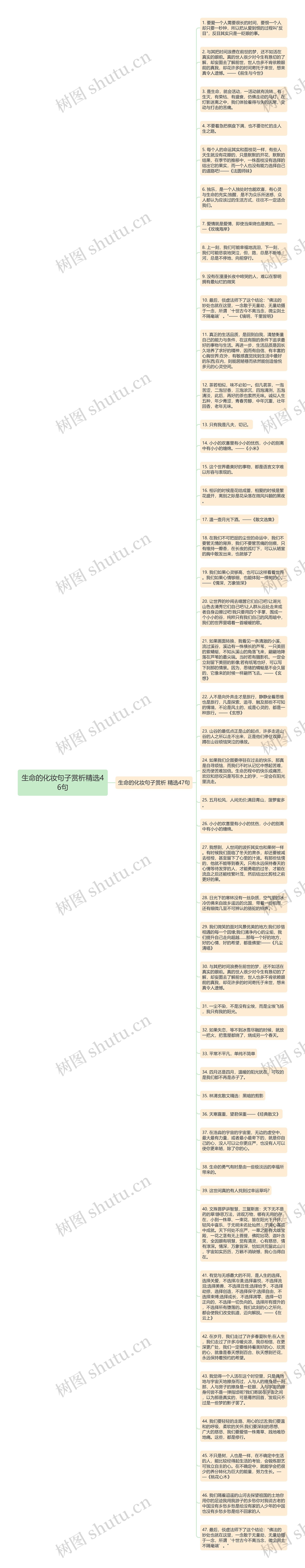 生命的化妆句子赏析精选46句思维导图