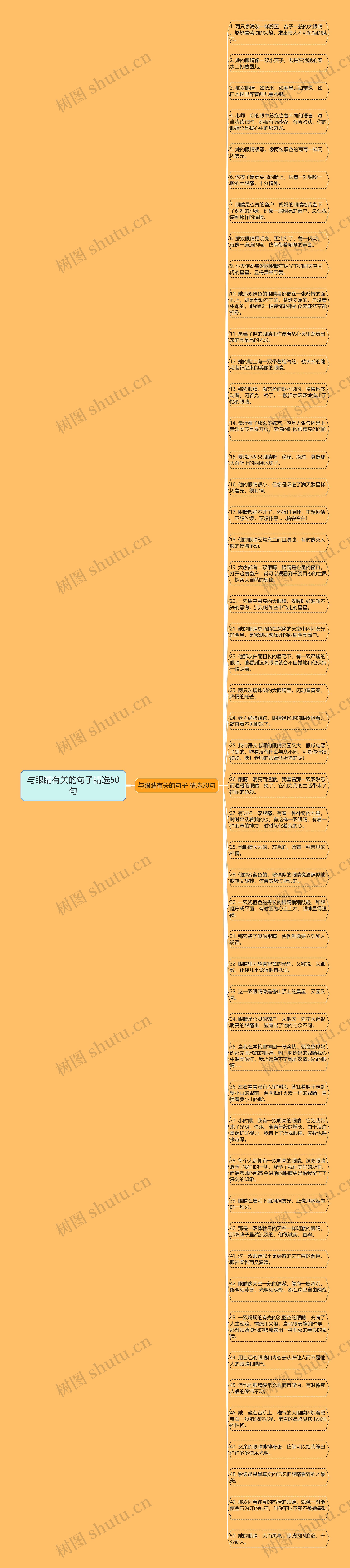 与眼睛有关的句子精选50句思维导图