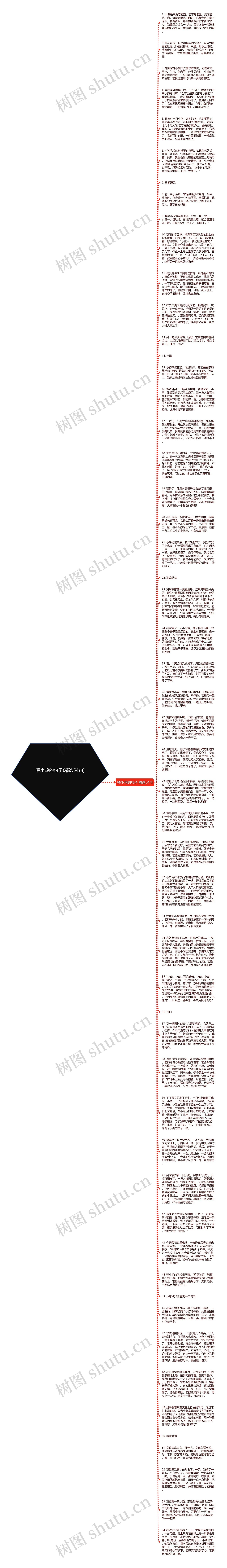 喂小鸡的句子(精选54句)思维导图