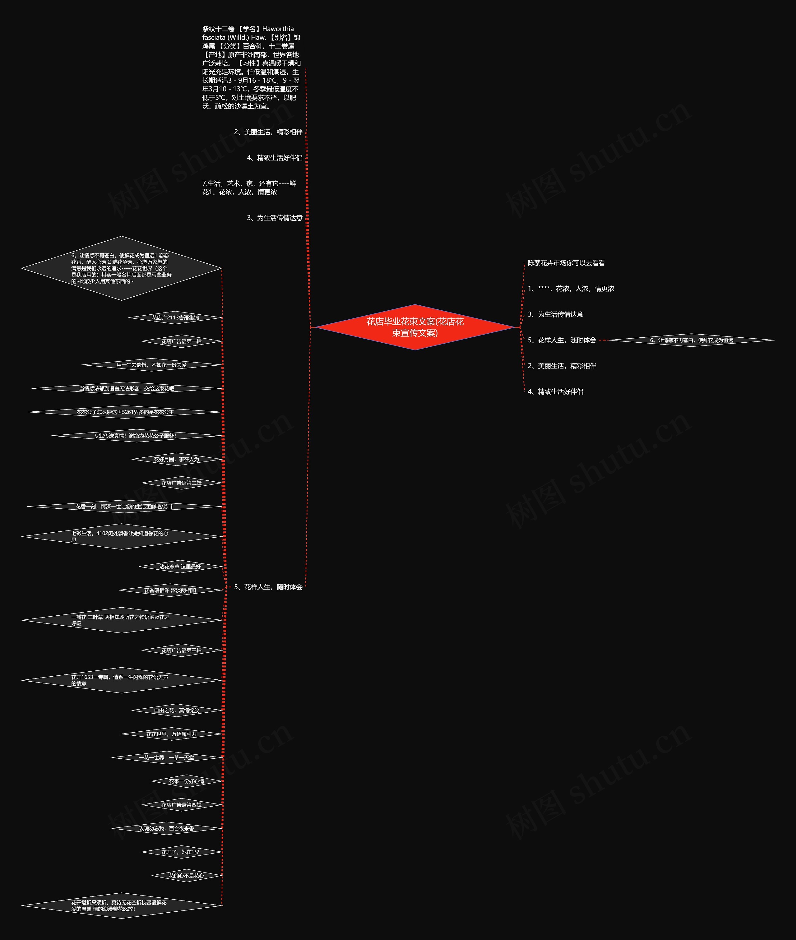 花店毕业花束文案(花店花束宣传文案)思维导图