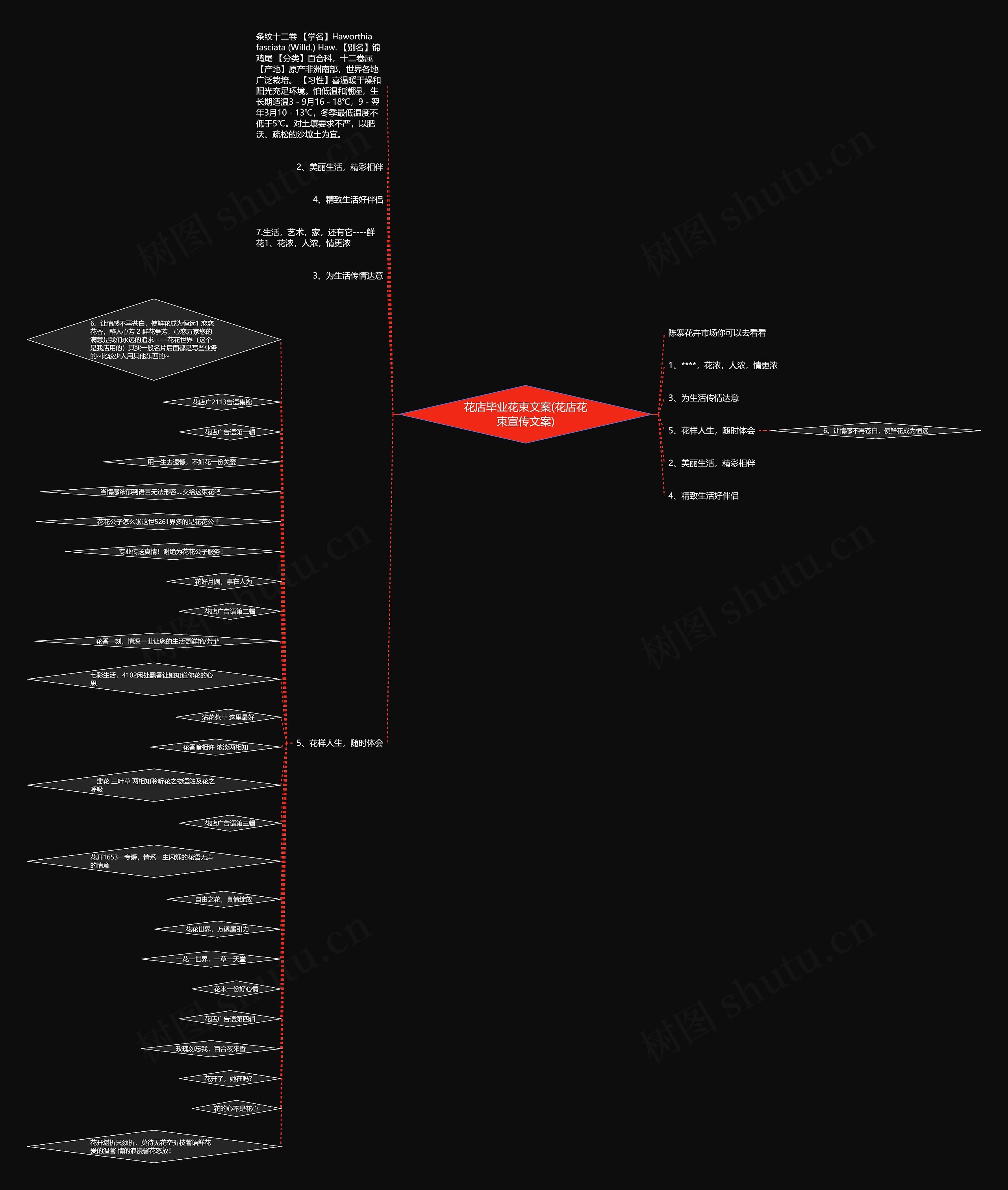 花店毕业花束文案(花店花束宣传文案) 花店毕业花束文案(花店花束宣传文案)