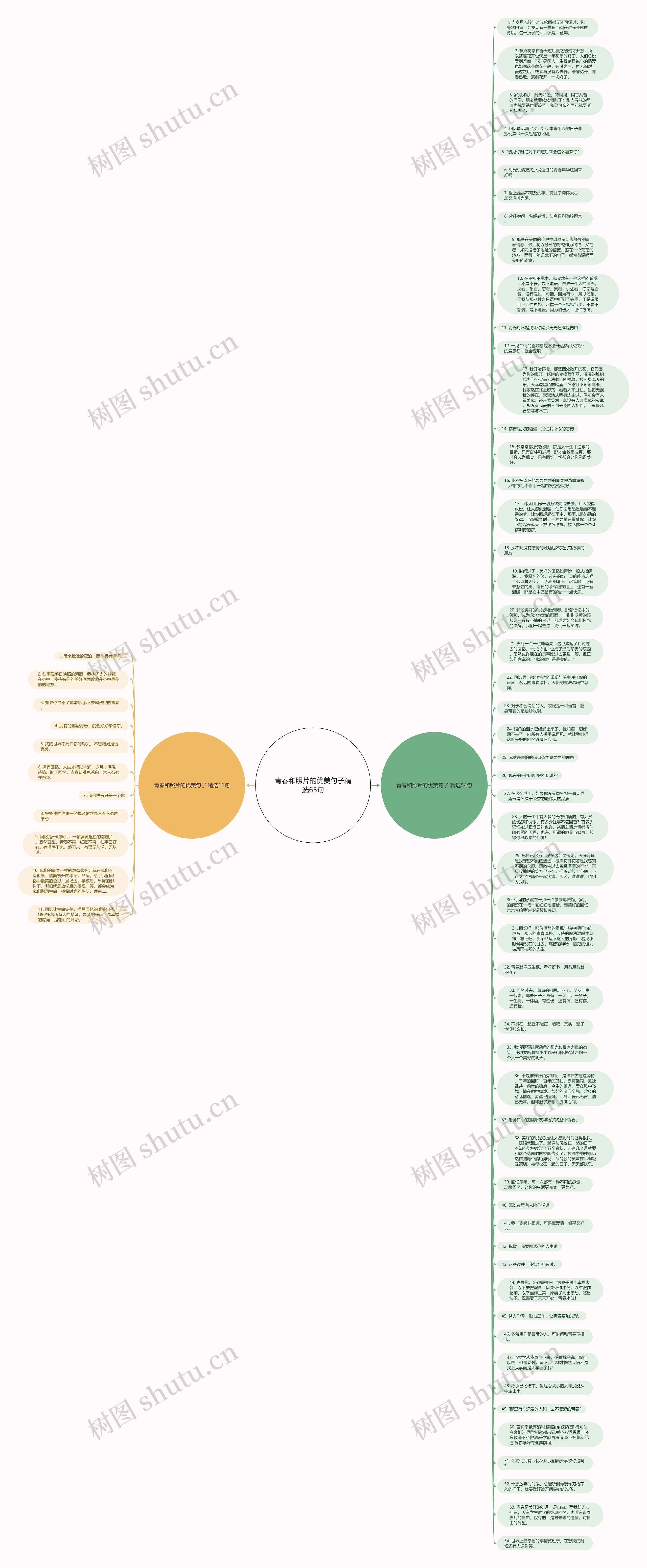 青春和照片的优美句子精选65句思维导图