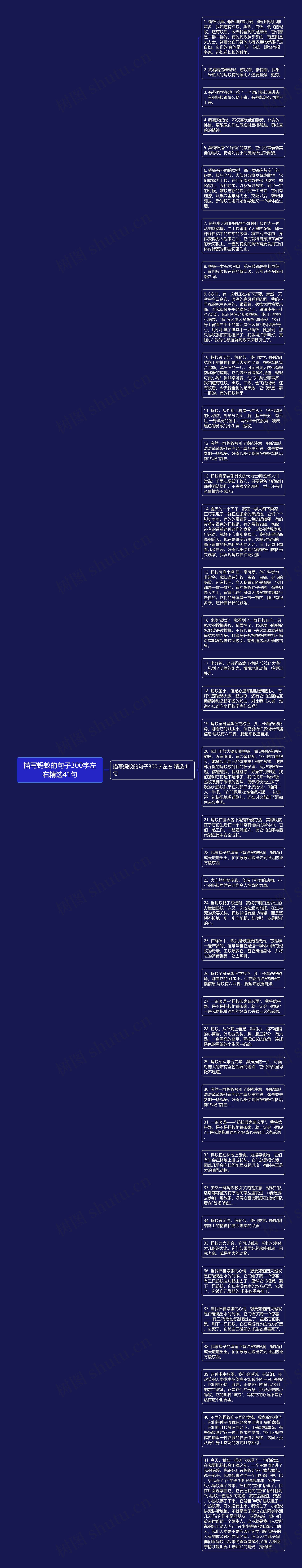 描写蚂蚁的句子300字左右精选41句思维导图