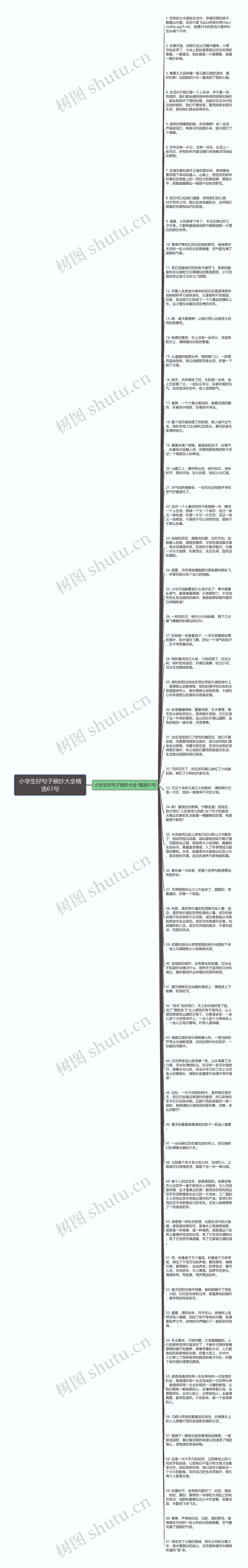 小学生好句子摘抄大全精选61句