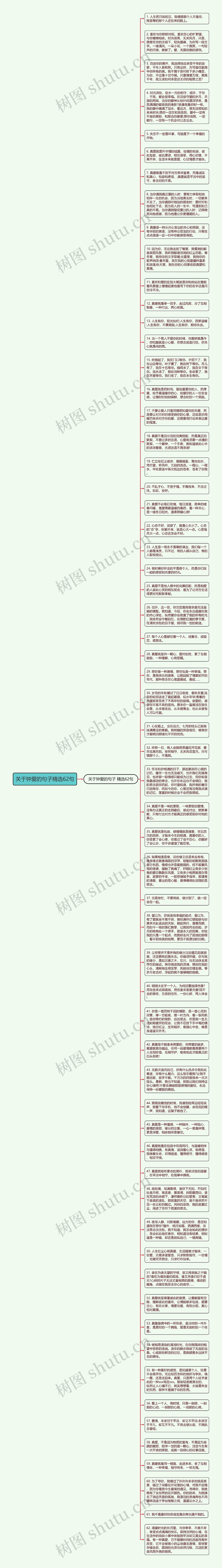 关于钟爱的句子精选62句