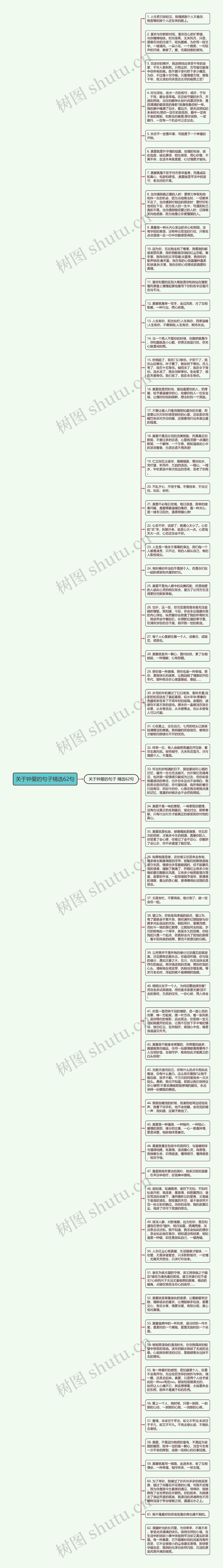 关于钟爱的句子精选62句思维导图