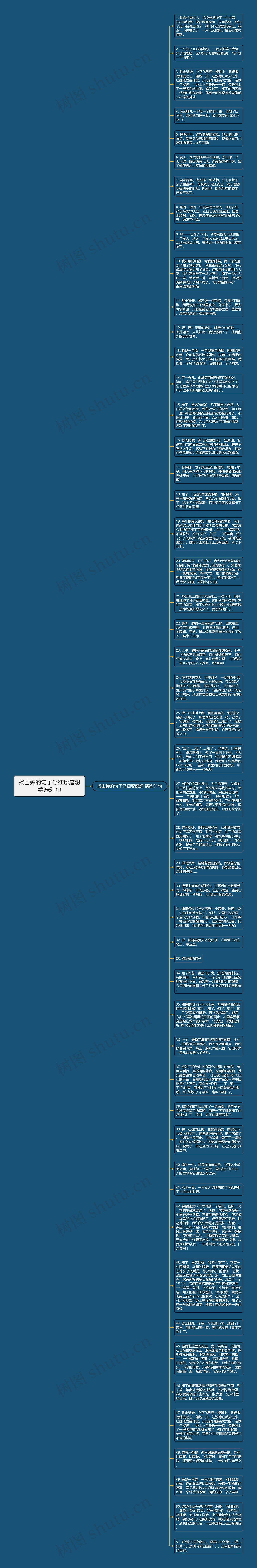 找出蝉的句子仔细琢磨想精选51句