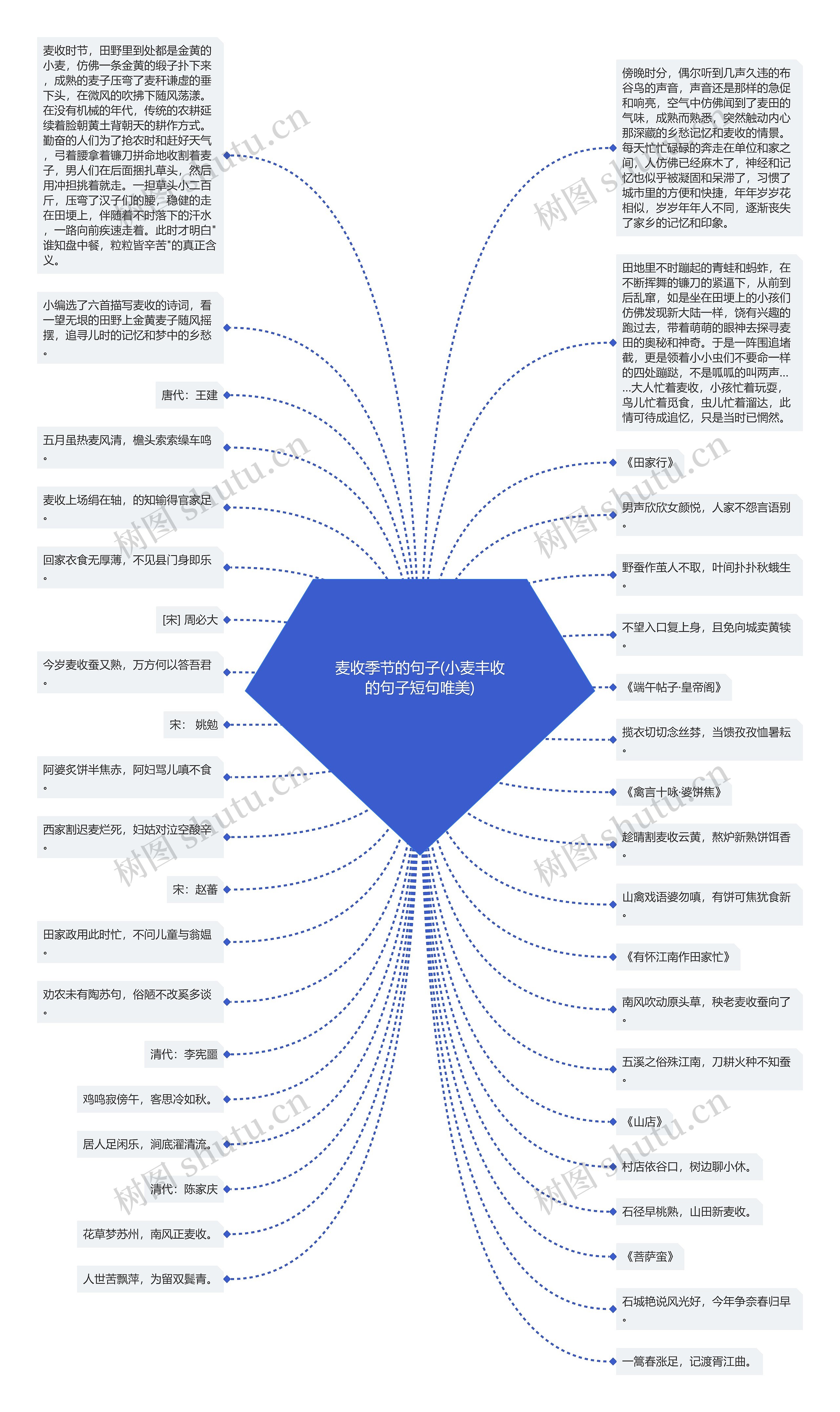 麦收季节的句子(小麦丰收的句子短句唯美)