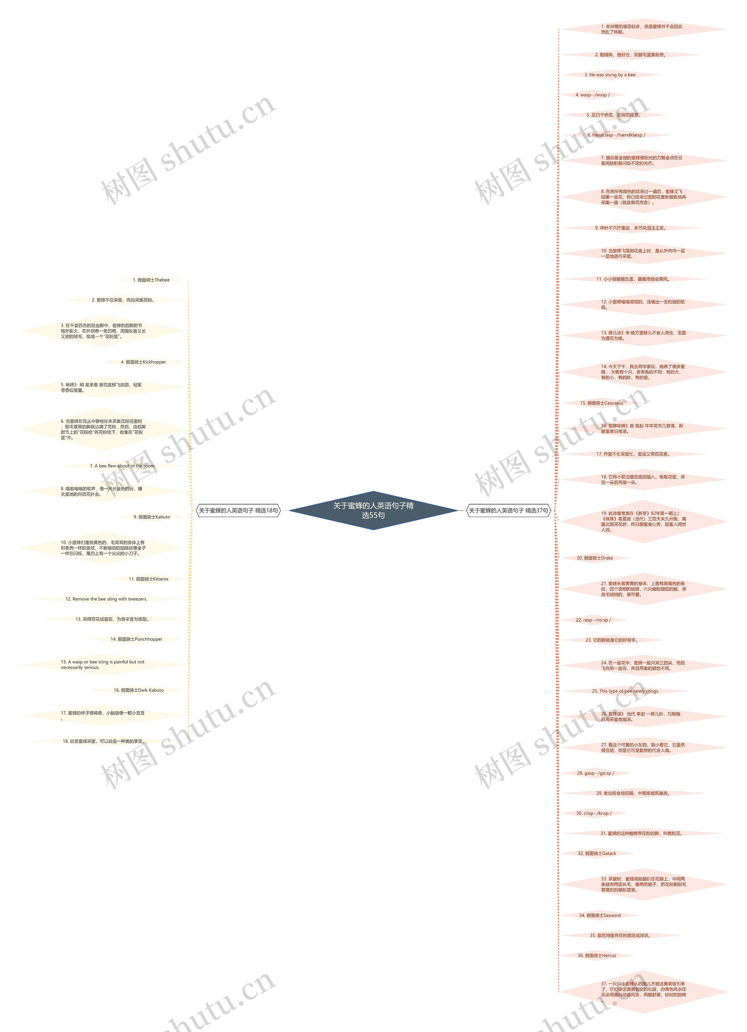 关于蜜蜂的人英语句子精选55句思维导图