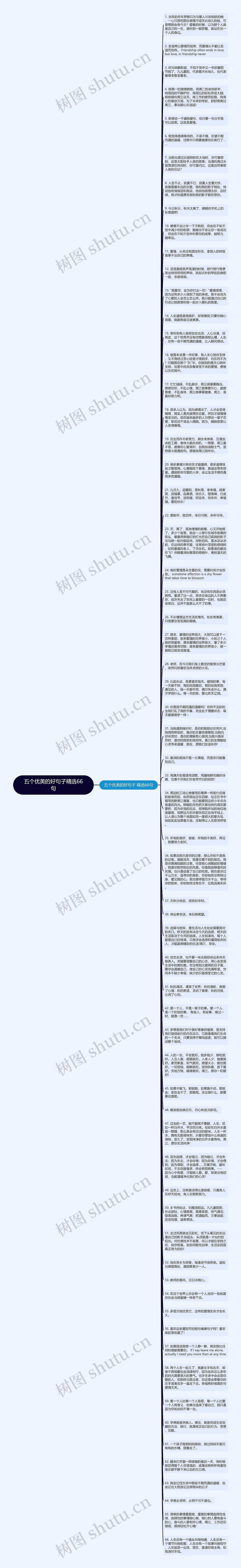 五个优美的好句子精选66句