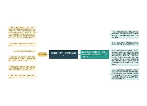 翡翠的“种”到底怎么看？