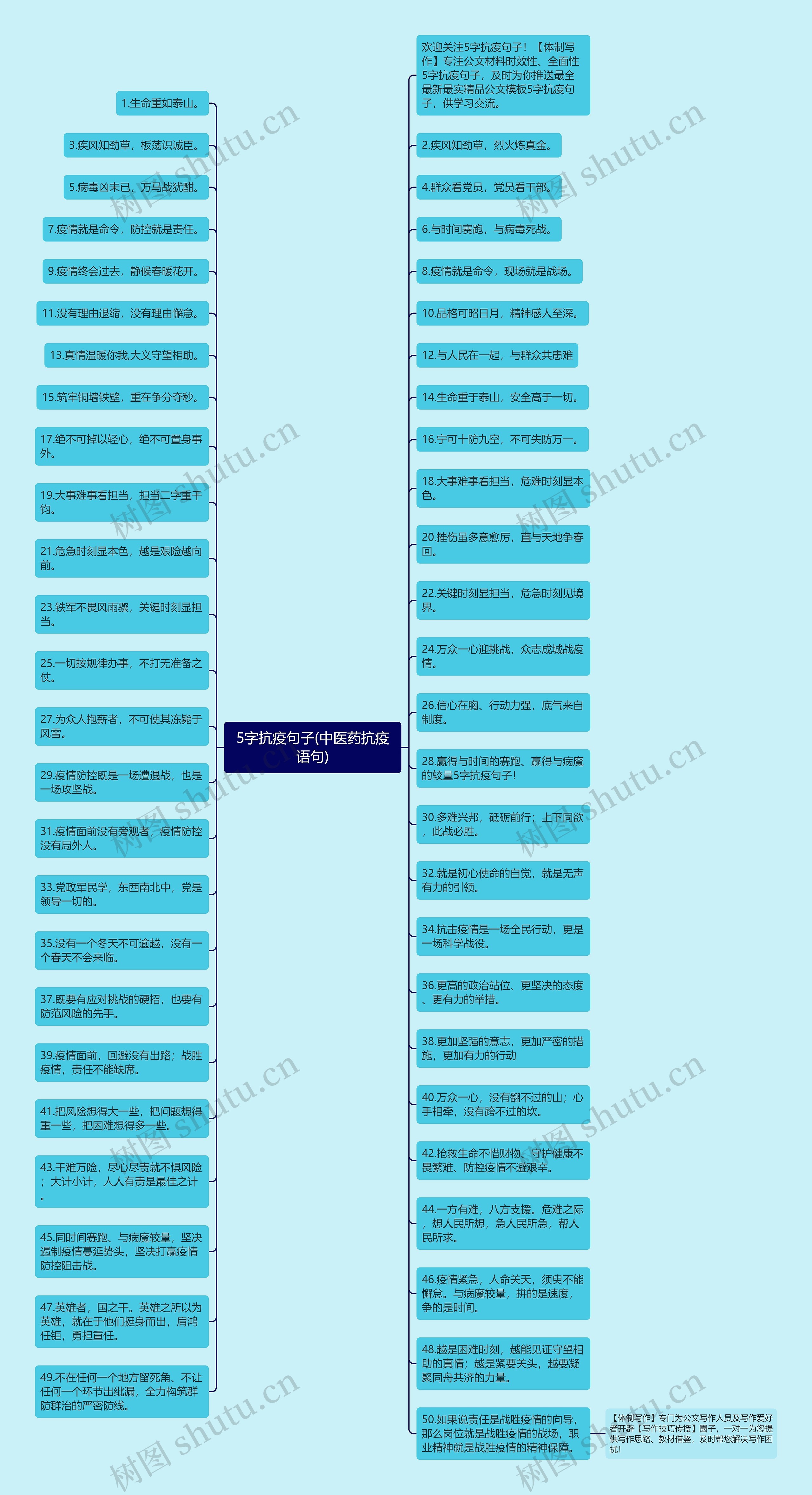 5字抗疫句子(中医药抗疫语句)思维导图