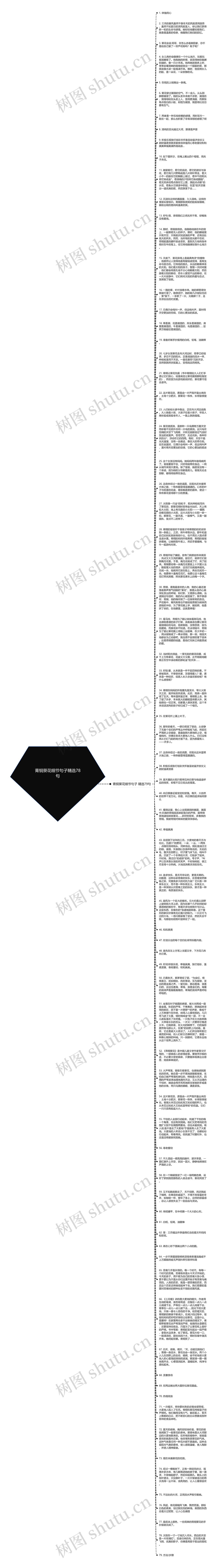 青铜葵花细节句子精选78句思维导图