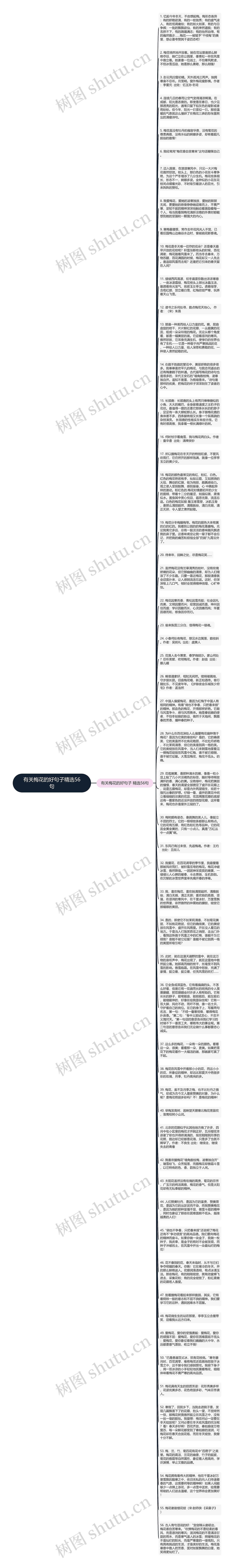 有关梅花的好句子精选56句思维导图