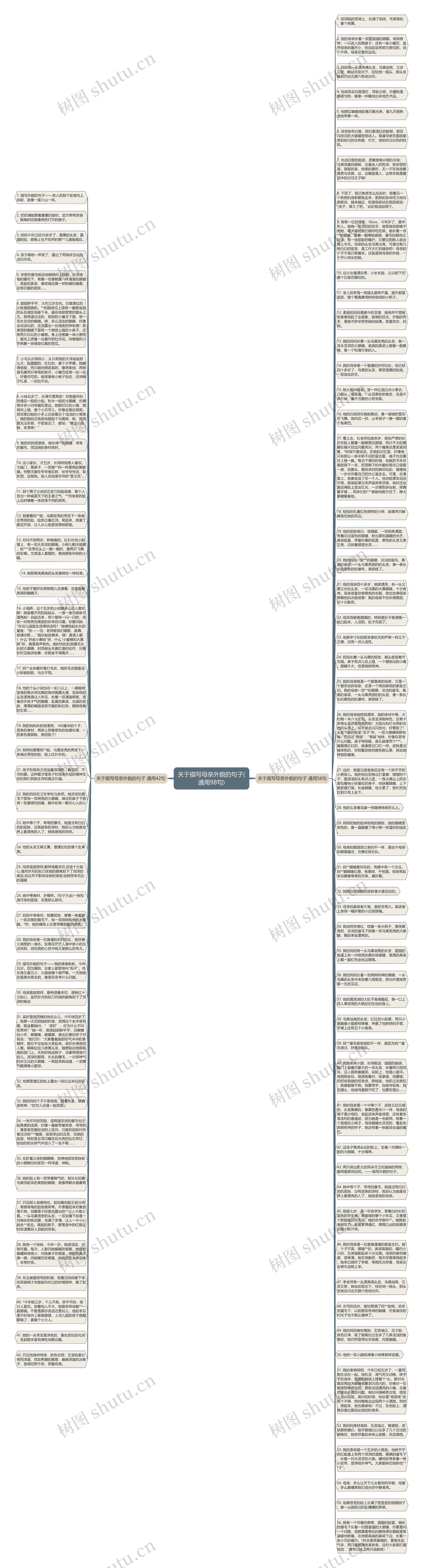关于描写母亲外貌的句子(通用98句)思维导图