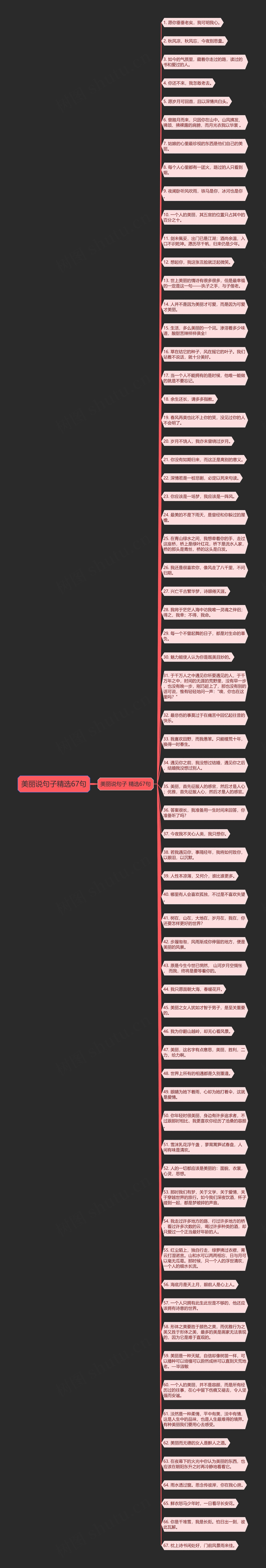 美丽说句子精选67句思维导图