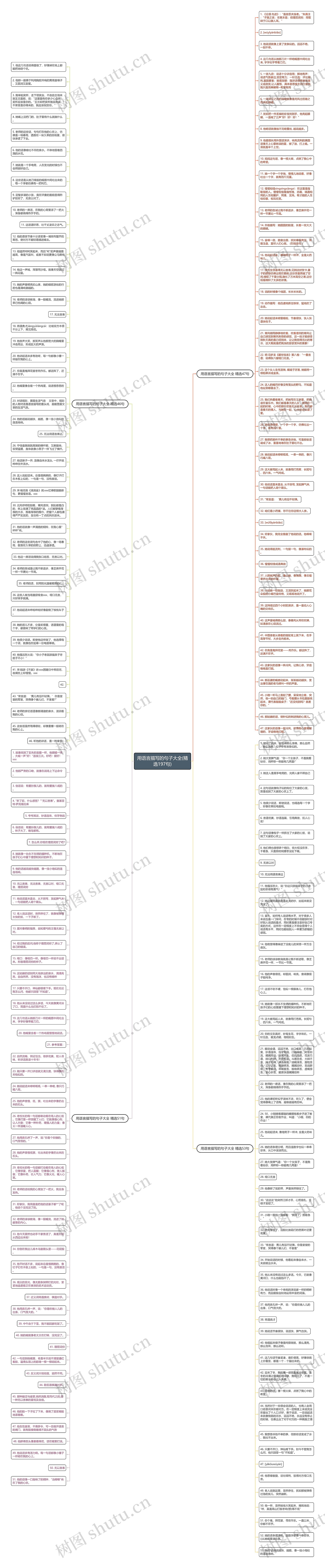 用语言描写的句子大全(精选197句)思维导图