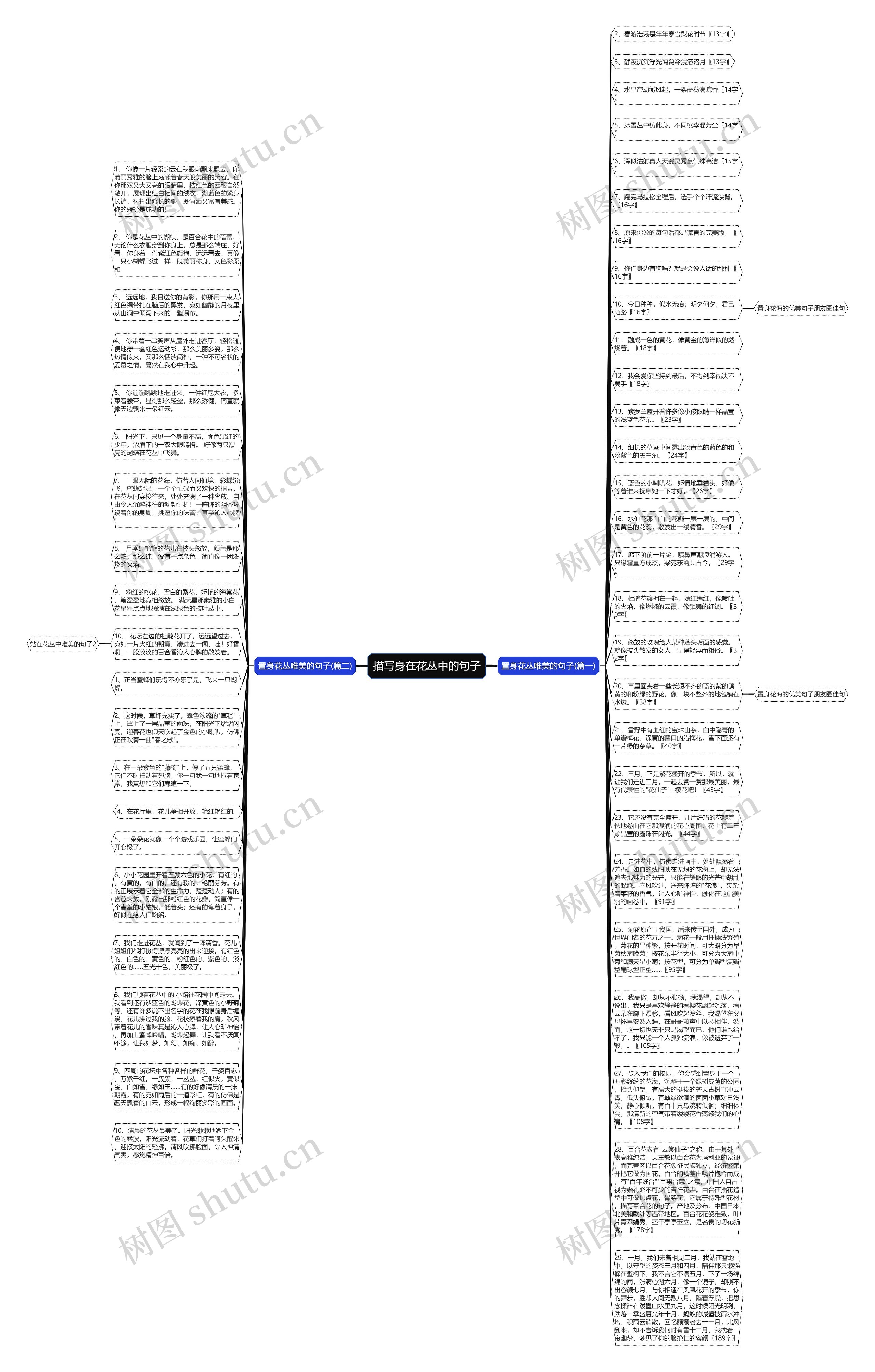 描写身在花丛中的句子思维导图