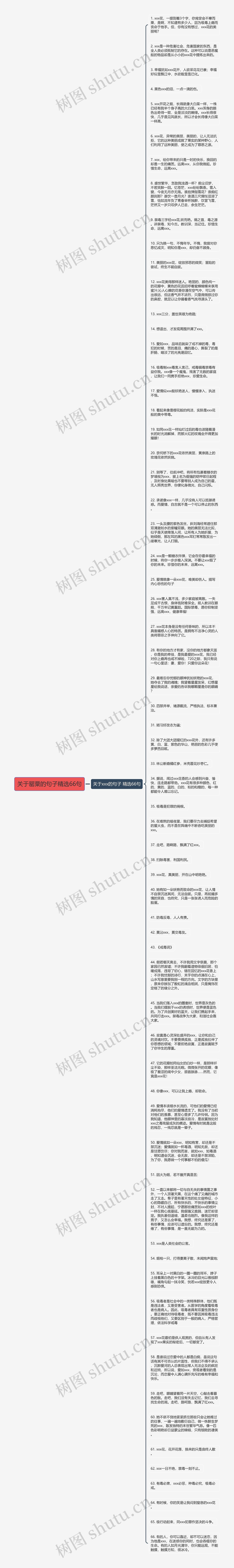 关于罂粟的句子精选66句