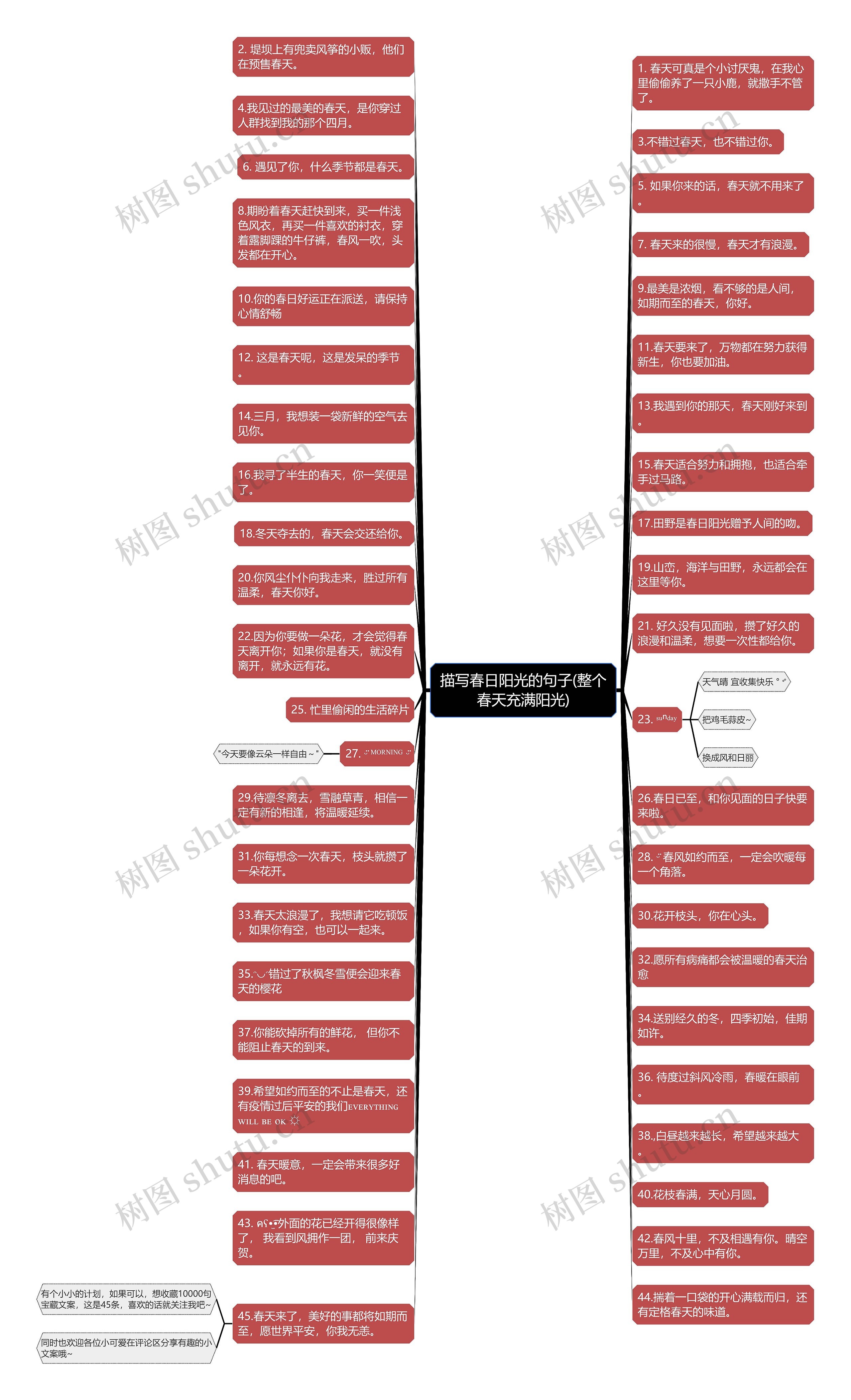 描写春日阳光的句子(整个春天充满阳光)思维导图