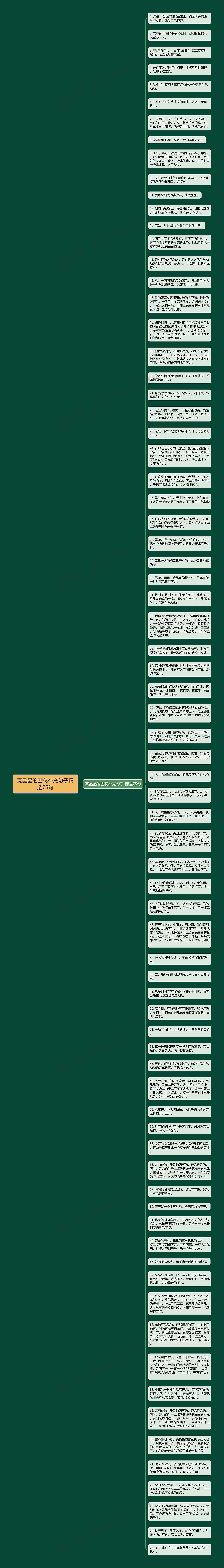 亮晶晶的雪花补充句子精选75句思维导图