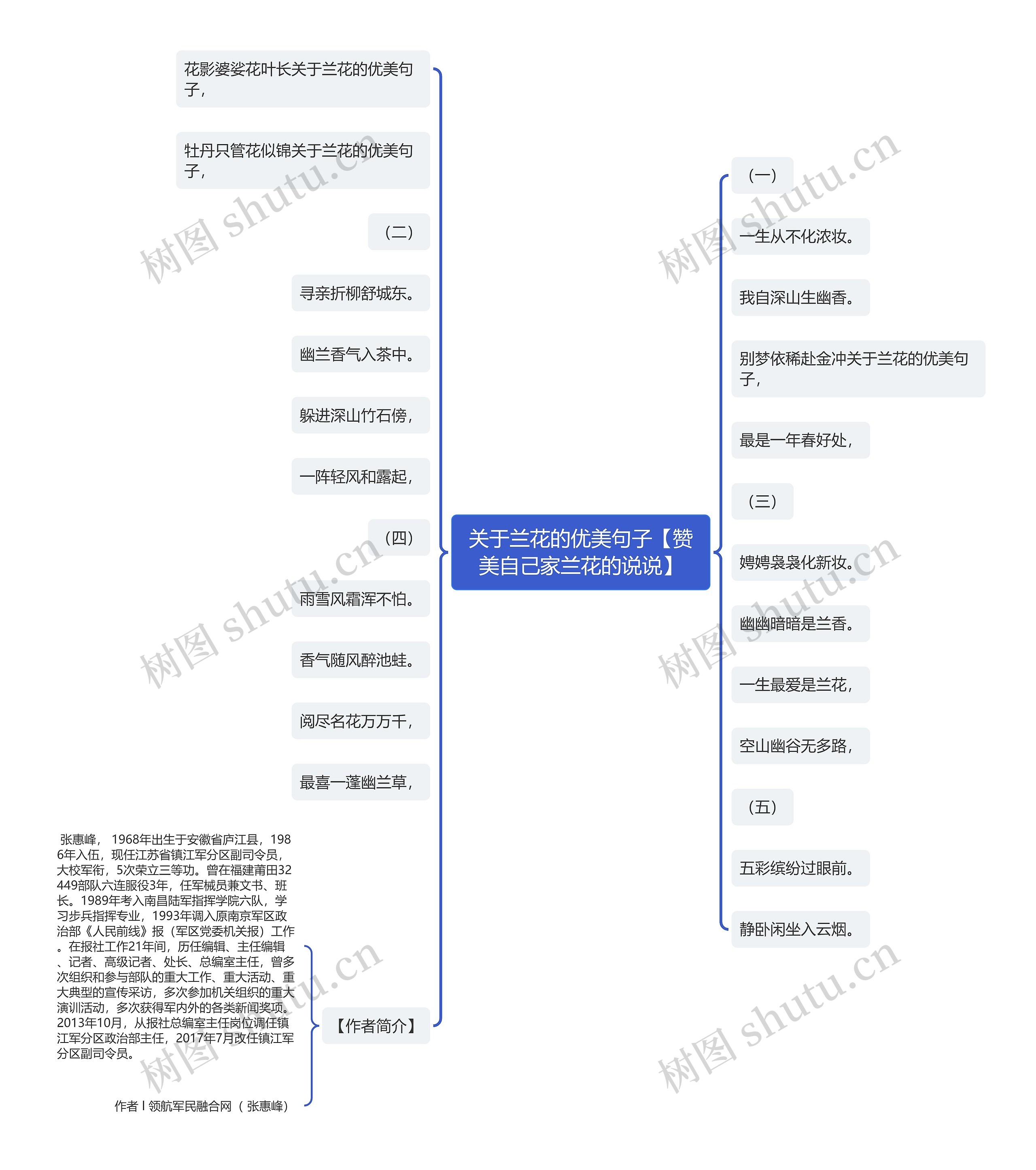 关于兰花的优美句子【赞美自己家兰花的说说】思维导图