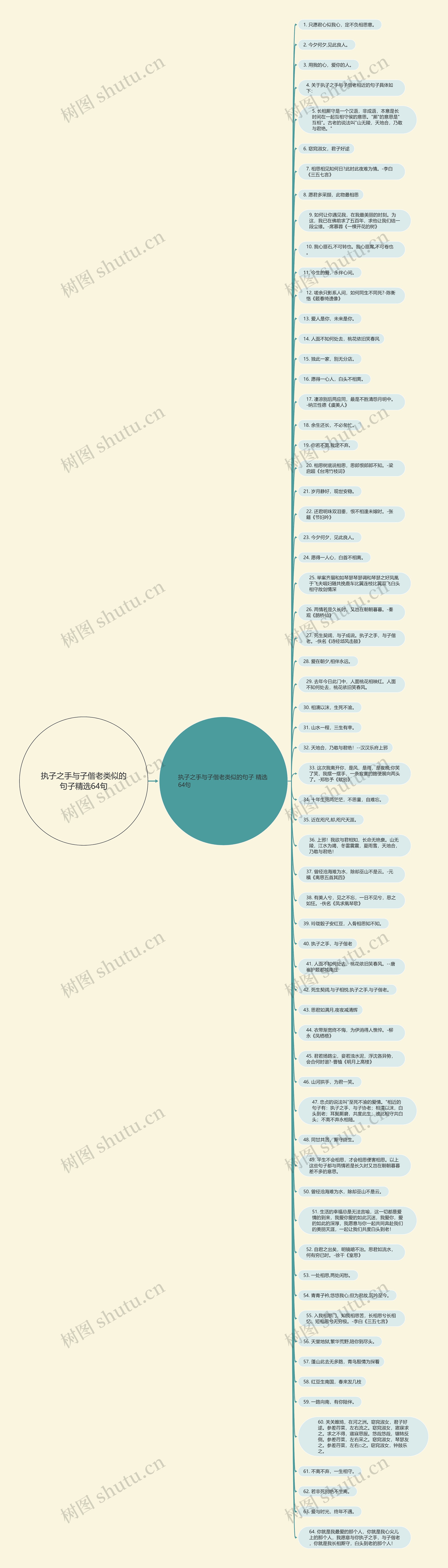 执子之手与子偕老类似的句子精选64句思维导图