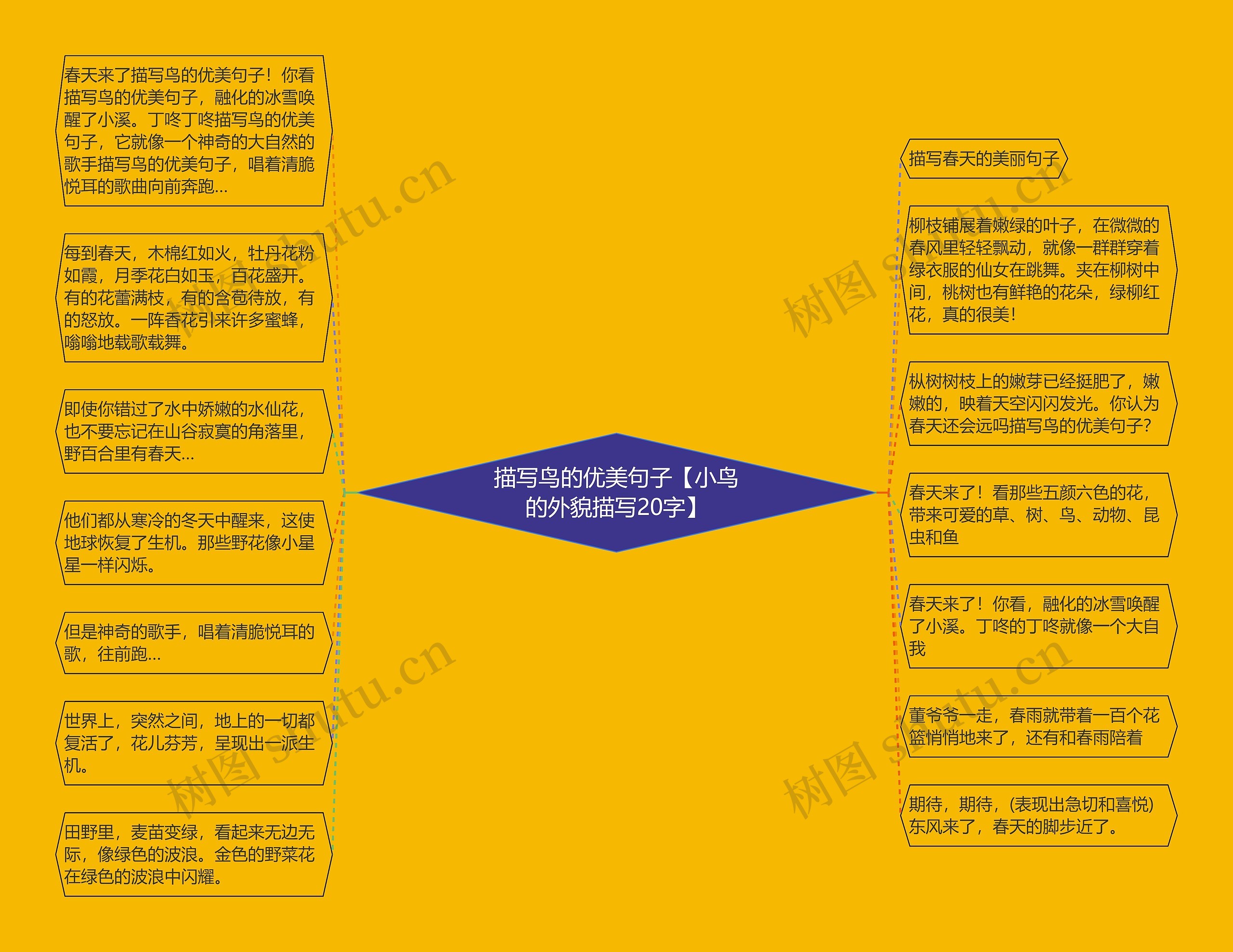 描写鸟的优美句子【小鸟的外貌描写20字】 描写鸟的优美句子【小鸟的外貌描写20字】