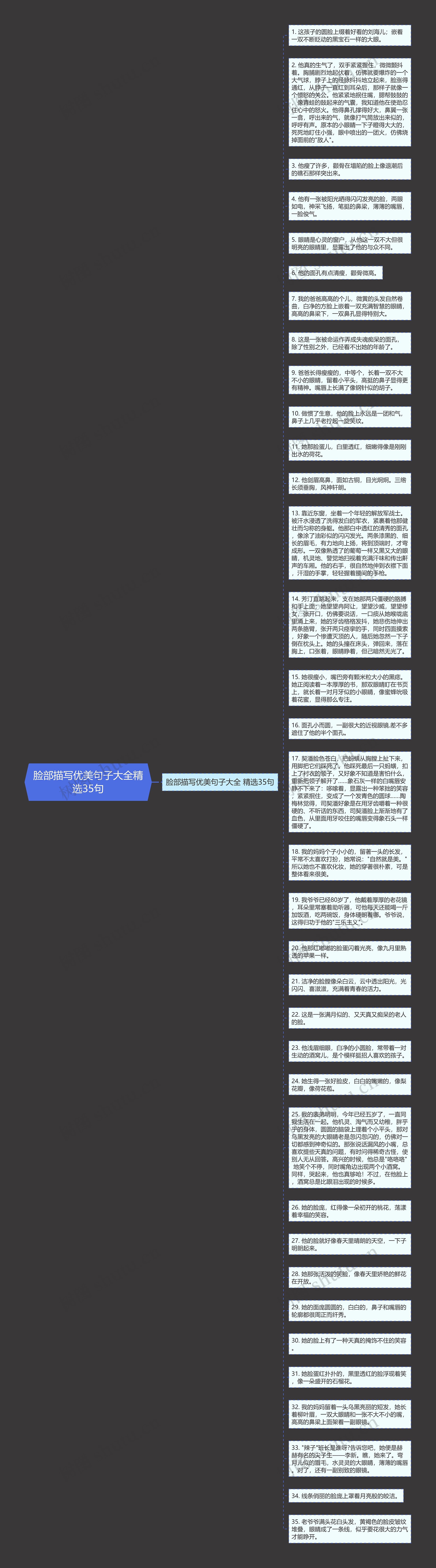 脸部描写优美句子大全精选35句思维导图