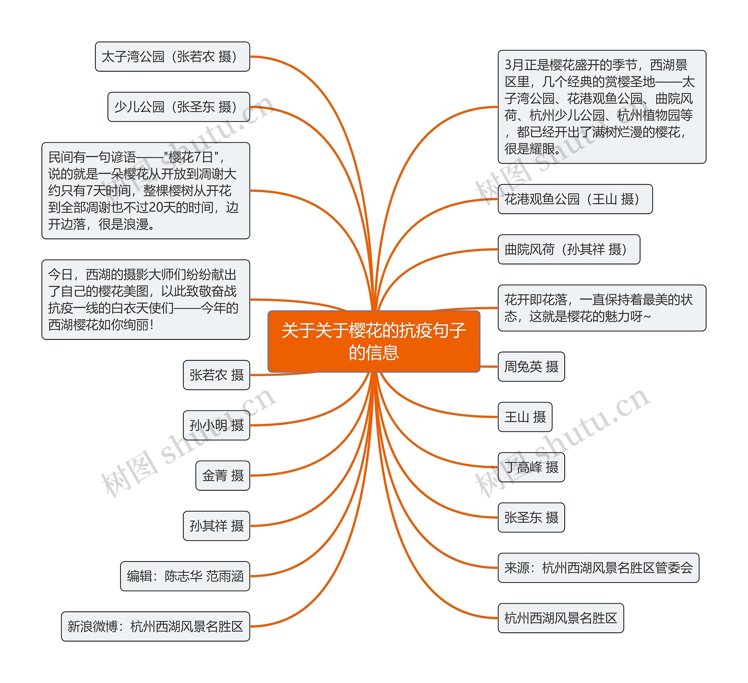 关于关于樱花的抗疫句子的信息思维导图