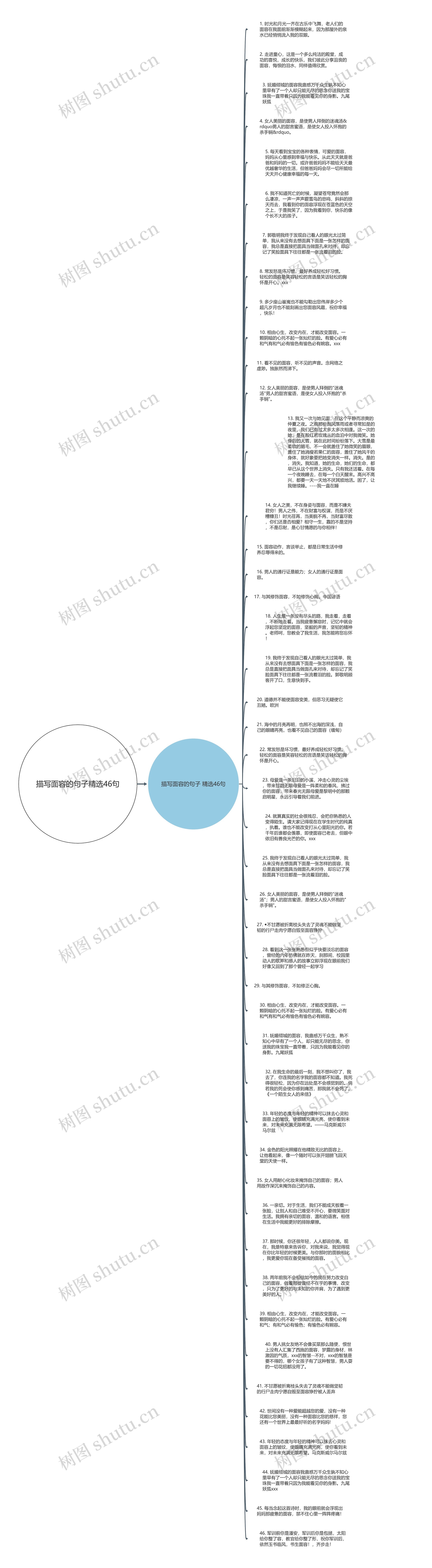 描写面容的句子精选46句思维导图