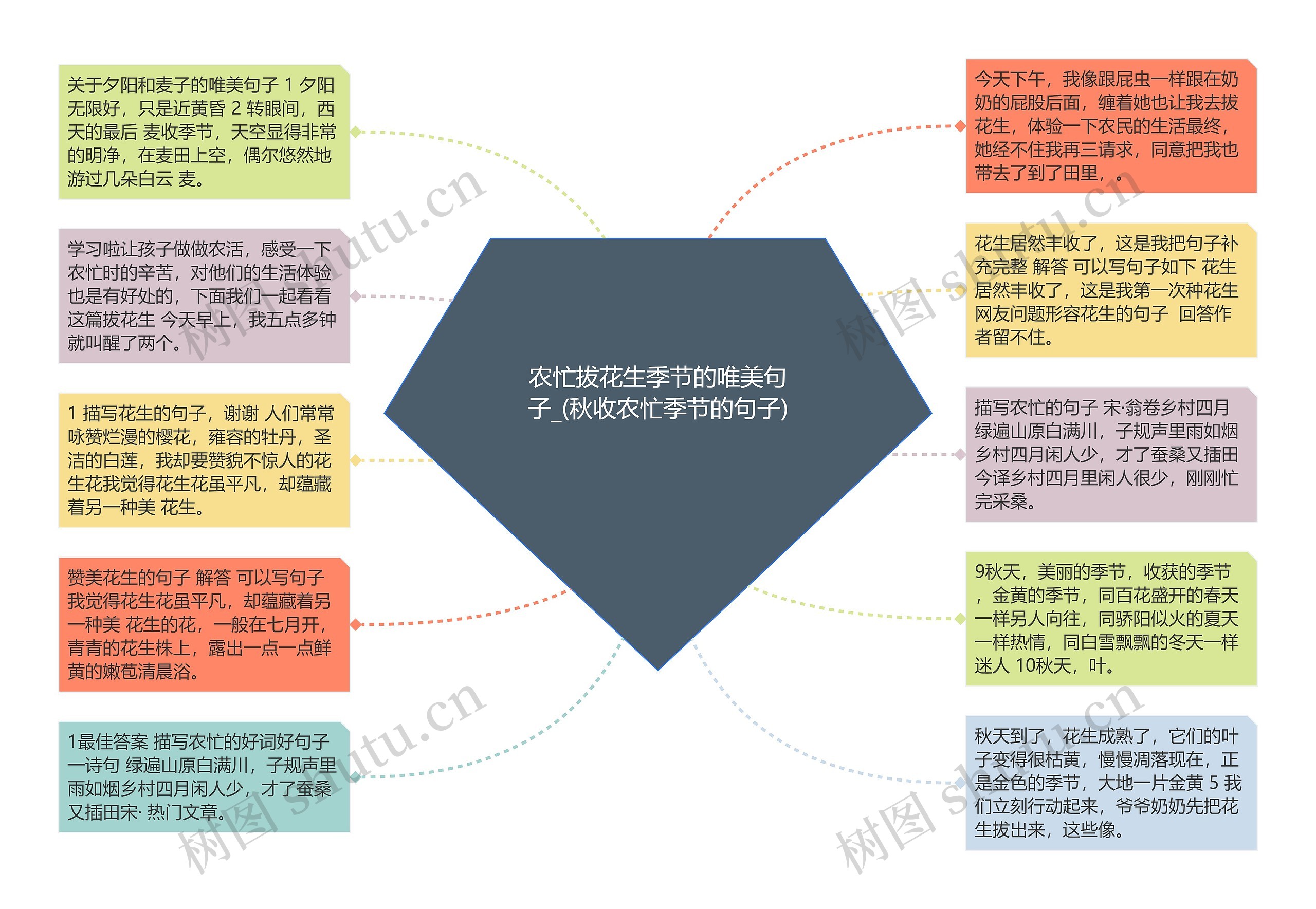 农忙拔花生季节的唯美句子_(秋收农忙季节的句子)思维导图